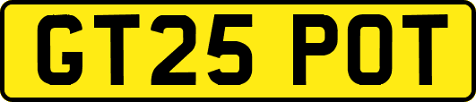 GT25POT