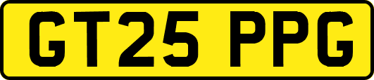GT25PPG