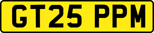 GT25PPM