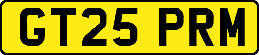GT25PRM