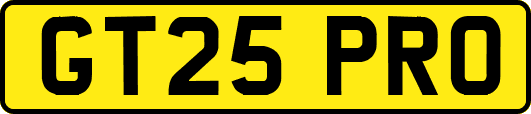 GT25PRO