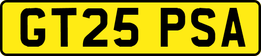 GT25PSA