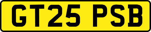 GT25PSB