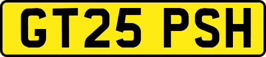 GT25PSH