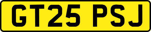 GT25PSJ