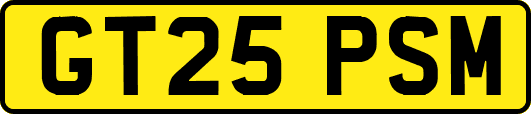 GT25PSM