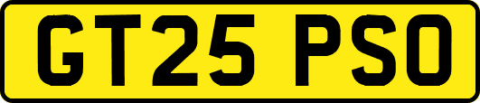 GT25PSO