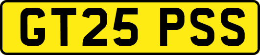 GT25PSS