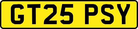 GT25PSY