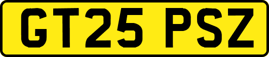 GT25PSZ