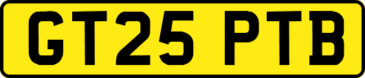 GT25PTB