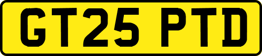 GT25PTD
