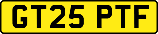 GT25PTF