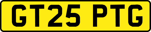 GT25PTG