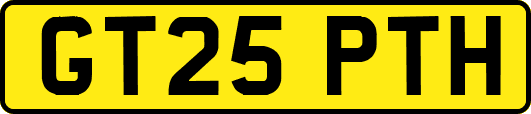 GT25PTH