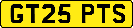 GT25PTS