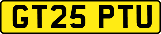 GT25PTU