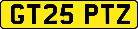 GT25PTZ