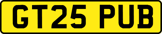 GT25PUB