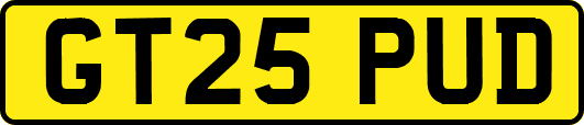GT25PUD