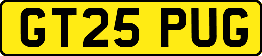 GT25PUG