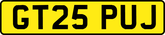 GT25PUJ
