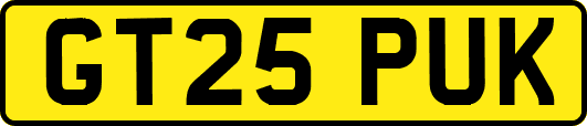GT25PUK