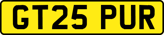 GT25PUR