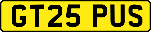 GT25PUS