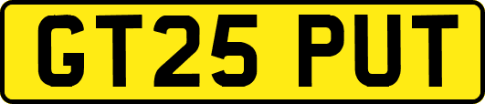 GT25PUT