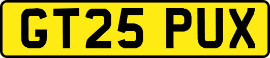 GT25PUX