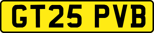 GT25PVB
