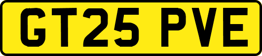 GT25PVE