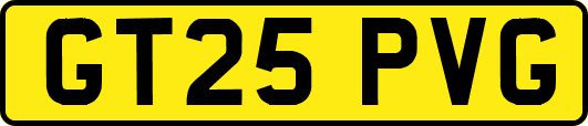 GT25PVG