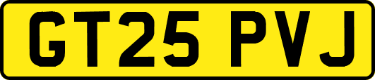 GT25PVJ