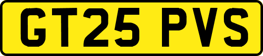 GT25PVS