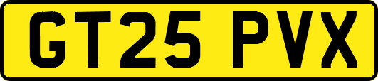 GT25PVX