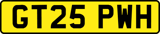 GT25PWH
