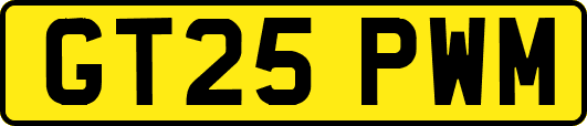 GT25PWM