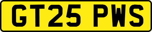 GT25PWS
