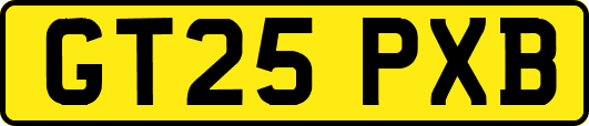 GT25PXB