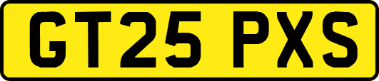 GT25PXS