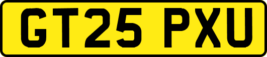 GT25PXU