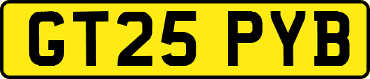 GT25PYB