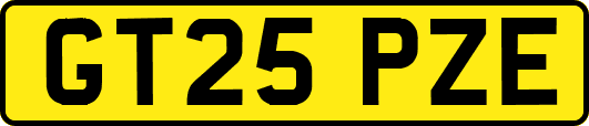 GT25PZE