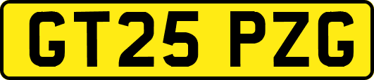 GT25PZG