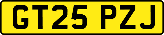 GT25PZJ