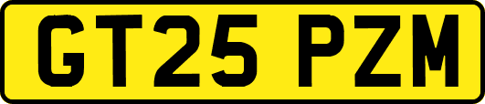 GT25PZM