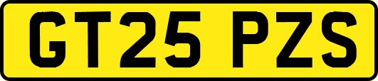 GT25PZS