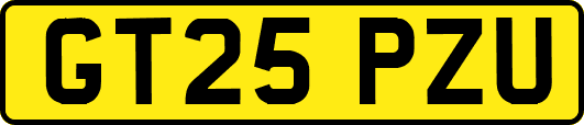 GT25PZU